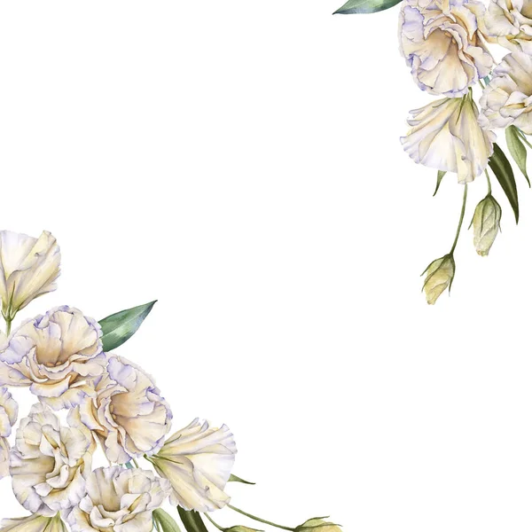 Quadro de rosas brancas. Eustoma. Isolado sobre um fundo branco . — Fotografia de Stock