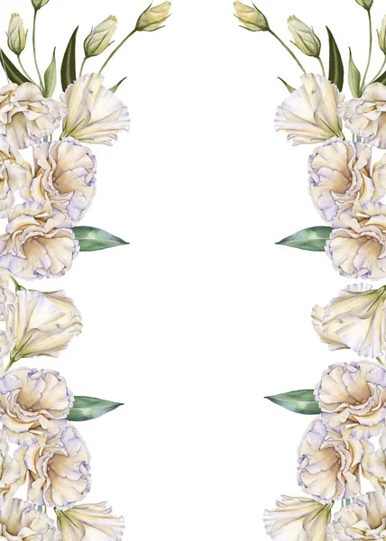 Frame of white roses. Eustoma. Isolated on a white background.
