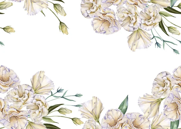 กรอบดอกกุหลาบขาว เอสโทมา ถูกแยกจากพื้นหลังสีขาว . — ภาพถ่ายสต็อก