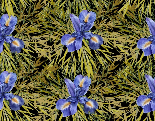 Fond de fleurs d'iris avec feuillage. Modèle sans couture. illustration aquarelle . — Photo