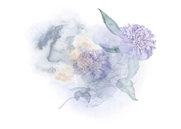 Buquê de flores de peônia. Desenho isolado . — Fotografia de Stock