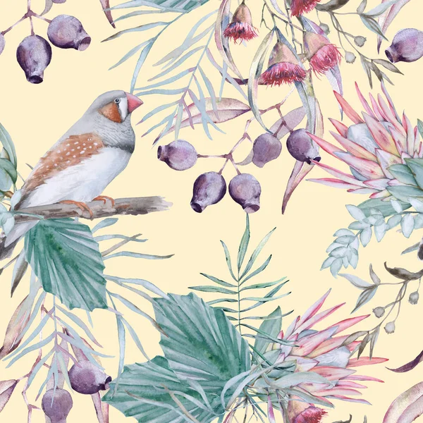Background with elements of Australian nature. Seamless pattern. — Stock Photo, Image