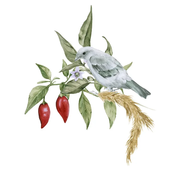 Összetétel chili paprikával és egy madár az ágon. Fehér alapon elszigetelve. — Stock Fotó