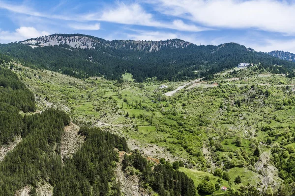 The green valley covered with pine forest is located at the foot of the mountains in the Central part of Greece