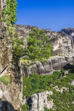 Dik kayalıklarla çevrili büyük meteorlar dağ meşe ormanı ile pitoresk bir dağ.