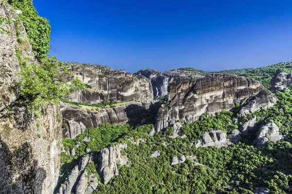 Kayalar, orman ile büyümüş