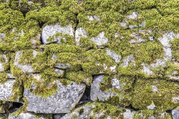 Büyük duvar yosun bir dağda ülkenin kalbinde Rum köyü taş..