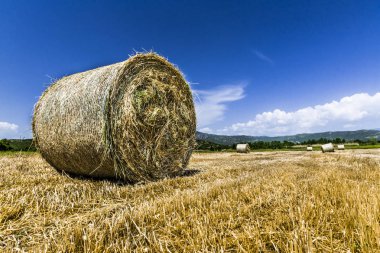 Merkezi Yunanistan'da bulunan bir dağ Vadisi buğday alan hasat saman büyük rulo yaptı. Dağlarda sistem göre kutsal meteorlar manastır..