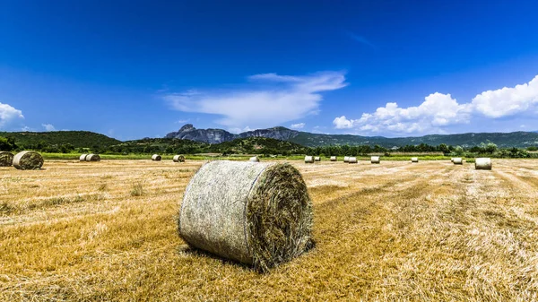 Grandes Rolos Palha Colhida Deixados Campo Trigo Vale Montanha Localizado — Fotografia de Stock