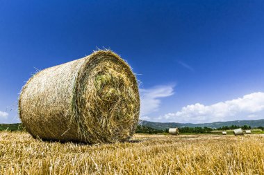Merkezi Yunanistan'da bulunan bir dağ Vadisi buğday alan hasat saman büyük rulo yaptı. Dağlarda sistem göre kutsal meteorlar manastır..