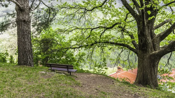 Het Oude Grieks Orthodoxe Kerk Gelegen Een Schaduwrijk Park Het — Stockfoto