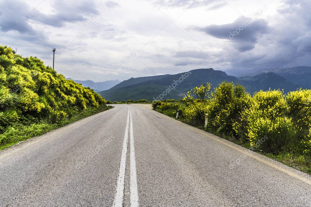 The mountain road passes through the pass in the Central part of Greece and is surrounded by beautiful bushes with a large number of yellow flowers. Storm clouds thickened over the mountains and very soon it will rain.