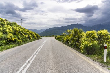 Dağ yolu Yunanistan orta kısmında pas geçer ve çok sayıda sarı çiçekler güzel Bush'larda çevrilidir. Fırtına bulutları dağların ve çok yakında bu üzerinde kalınlaşmış yağmur yağacak.