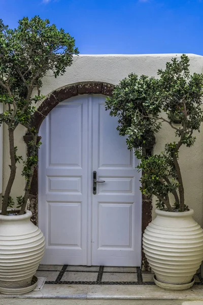 Olivo Pequeño Entrada Casa Ciudad Oia Isla Santorini — Foto de Stock