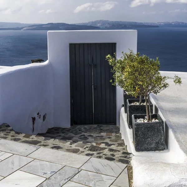 Liten Olivträd Vid Ingången Till Huset Den Staden Oia Santorini — Stockfoto