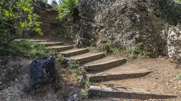 The dilapidated wooden steps of the old staircase lead past the ancient stone wall under the thick branches of trees to the top of the mountain, where the Greek Orthodox monastery is located.