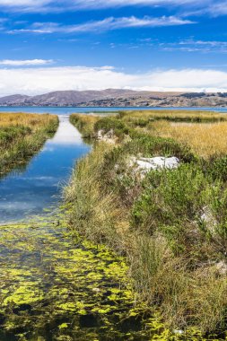 Dar bir kanal taş'a Titicaca Gölü yol olan pier bağlı birkaç balıkçı tekneleri.