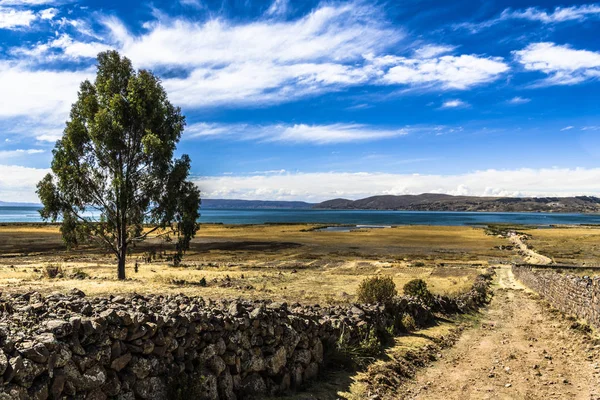 Toprak Yolun Dağlı Sazlık Ile Büyümüş Titikaka Gölü Kıyısında Iner — Stok fotoğraf