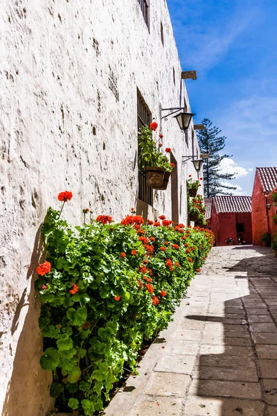 Narrow Monastic Street Flower Pots Sides Leads Depths Monastery Courtyard — Stock Photo, Image