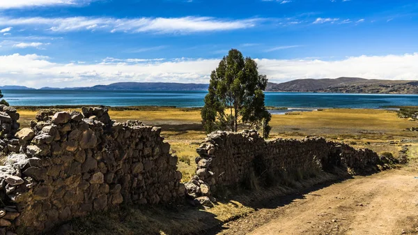 Toprak Yolun Dağlı Sazlık Ile Büyümüş Titikaka Gölü Kıyısında Iner — Stok fotoğraf