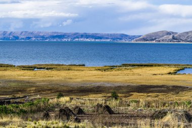 Sabah kıyısında reed kaplı bataklık Titikaka Gölü