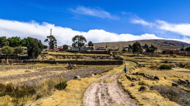 Toprak yolun dağlı sazlık ile büyümüş Titikaka Gölü kıyısında iner.