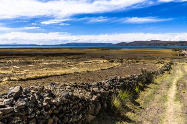 Toprak yolun dağlı sazlık ile büyümüş Titikaka Gölü kıyısında iner.