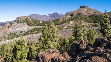 Kayalık dağ yamaçlarından, nadir Kanarya çam ile büyümüş, sen mesafe yanardağ Teide üst görebilirsiniz.