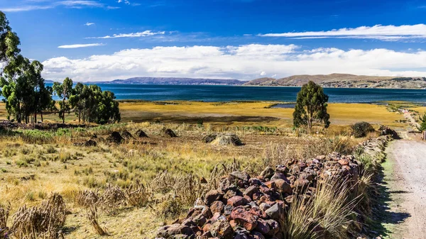 Toprak Yolun Dağlı Sazlık Ile Büyümüş Titikaka Gölü Kıyısında Iner — Stok fotoğraf