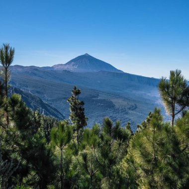 Kayalık dağ yamaçlarından, nadir Kanarya çam ile büyümüş, sen mesafe yanardağ Teide üst görebilirsiniz.
