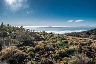 Teide yanardağının lav yamaçları, Atlantik okyanusu üzerindeki bulut denizinin ve Homeros Adası'nın muhteşem manzarasını sunmaktadır..