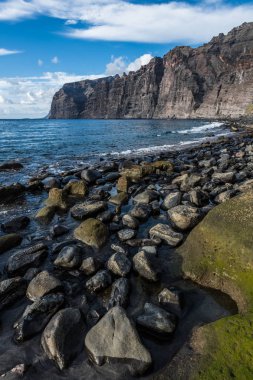 Büyük yosun kaplı parke taşları Tenerife adasında siyah bir volkanik plajda yüksek gelgit tarafından yıkanır.
