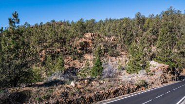 Dağ yolu, ormanlık yamaçlardan ve Tenerife adasının tepelerinden geçer.