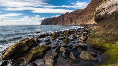 Büyük yosun kaplı parke taşları Tenerife adasında siyah bir volkanik plajda yüksek gelgit tarafından yıkanır.