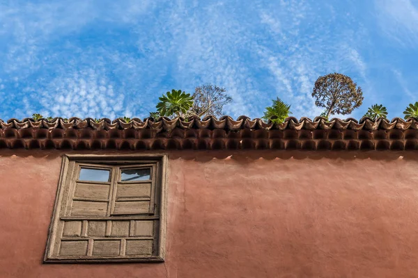 Rare Cacti Bushes Grow Tiled Roof Spanish House Small Mountain — Stock Photo, Image