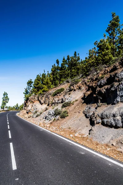 Route Montagne Traverse Les Pentes Boisées Les Collines Île Tenerife — Photo