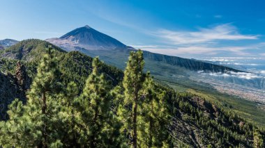 Kayalık dağ yamaçlarından, nadir Kanarya çam ile büyümüş, sen mesafe yanardağ Teide üst görebilirsiniz.