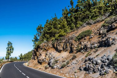 Dağ yolu, ormanlık yamaçlardan ve Tenerife adasının tepelerinden geçer.