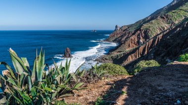 Yükselen güneşin ilk ışınları Tenerife adasının kuzey kıyısında kayalık koyları aydınlatmak.