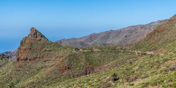 Keskin Sıralarla Çevrili Yeşil Yamaçlar Tenerife Sahilindeki Vadiye Iniyor — Stok fotoğraf