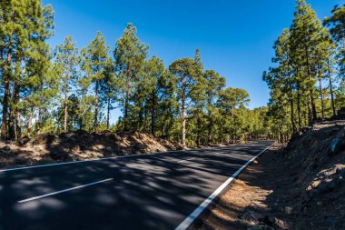 Dağ yolu, ormanlık yamaçlardan ve Tenerife adasının tepelerinden geçer.