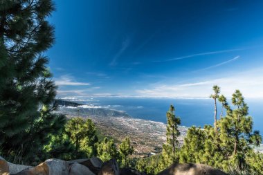 Kayalık dağ yamaçlarından, nadir Kanarya çam ile büyümüş, sen mesafe yanardağ Teide üst görebilirsiniz.