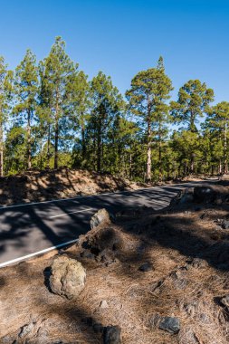 Dağ yolu, ormanlık yamaçlardan ve Tenerife adasının tepelerinden geçer.