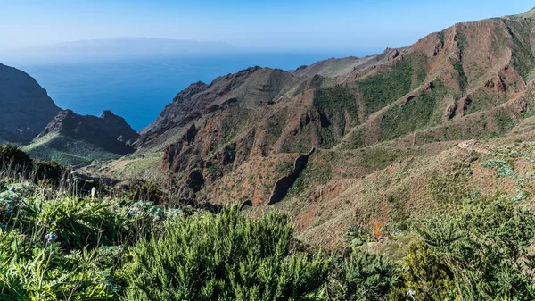 鋭い山脈に囲まれた緑の斜面は テネリフェ島の海岸の谷に下る — ストック写真