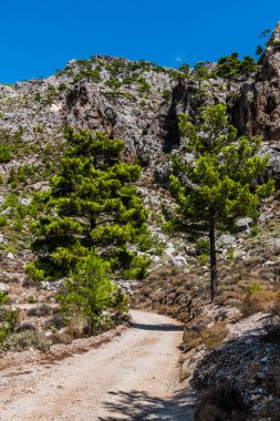 Girit adasının merkez kısmındaki vadi boyunca uzanan tozlu toprak bir yol var..