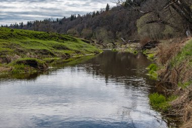 Baharın başlarında, mavi gökyüzü ve çıplak ağaçlar Orta Rusya 'daki Lopasnya nehrinin sularına yansıyor..
