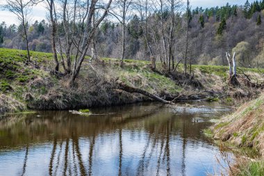 Baharın başlarında, mavi gökyüzü ve çıplak ağaçlar Orta Rusya 'daki Lopasnya nehrinin sularına yansıyor..