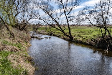 Baharın başlarında, mavi gökyüzü ve çıplak ağaçlar Orta Rusya 'daki Lopasnya nehrinin sularına yansıyor..