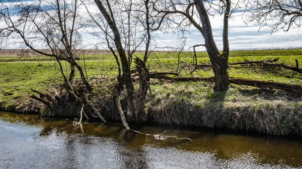 Zeitigen Frühling Spiegeln Sich Blauer Himmel Und Kahle Bäume Wasser — Stockfoto
