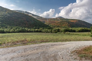 Kış ormanıyla kaplı yeşil yamaçların üzerinde akşam sisi kıvrılır..